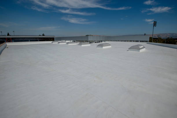 Best Roof Moss and Algae Removal  in Butler, NJ